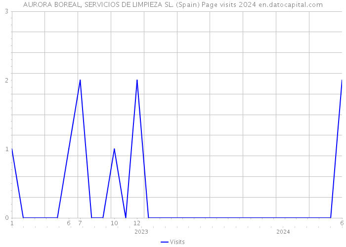 AURORA BOREAL, SERVICIOS DE LIMPIEZA SL. (Spain) Page visits 2024 