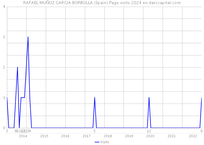 RAFAEL MUÑOZ GARCIA BORBOLLA (Spain) Page visits 2024 