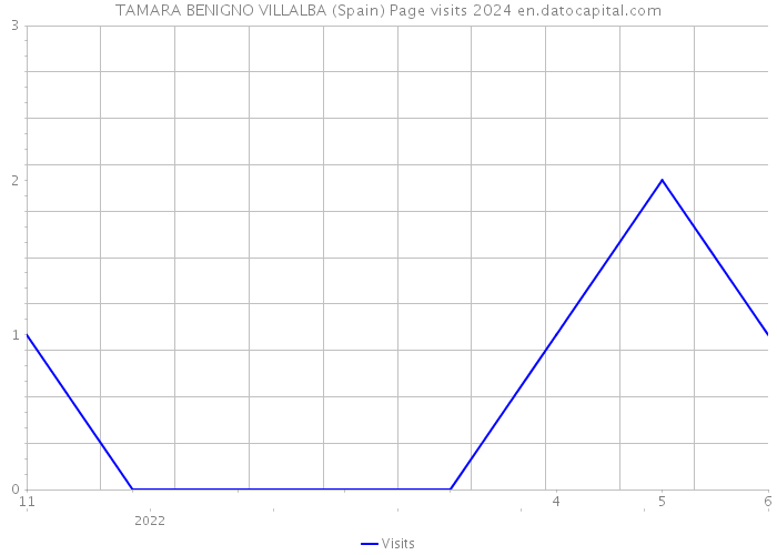 TAMARA BENIGNO VILLALBA (Spain) Page visits 2024 