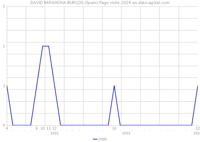 DAVID BARAHONA BURGOS (Spain) Page visits 2024 