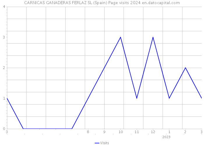 CARNICAS GANADERAS FERLAZ SL (Spain) Page visits 2024 