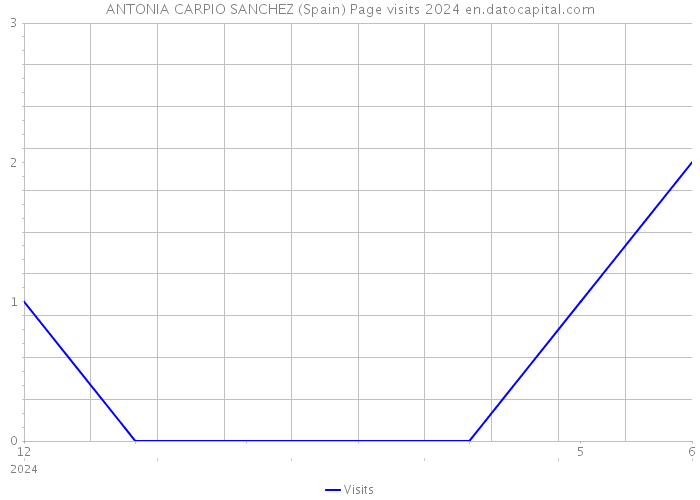 ANTONIA CARPIO SANCHEZ (Spain) Page visits 2024 