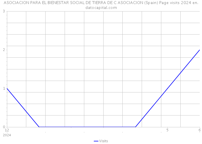 ASOCIACION PARA EL BIENESTAR SOCIAL DE TIERRA DE C ASOCIACION (Spain) Page visits 2024 
