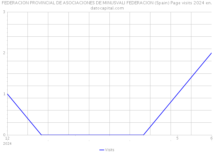 FEDERACION PROVINCIAL DE ASOCIACIONES DE MINUSVALI FEDERACION (Spain) Page visits 2024 