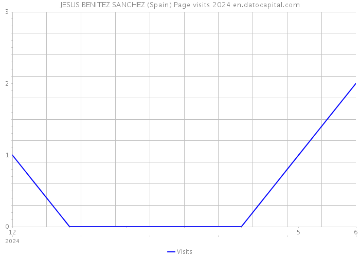 JESUS BENITEZ SANCHEZ (Spain) Page visits 2024 