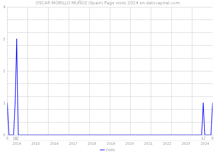 OSCAR MORILLO MUÑOZ (Spain) Page visits 2024 