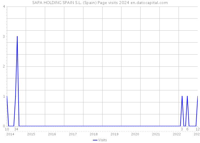 SAPA HOLDING SPAIN S.L. (Spain) Page visits 2024 