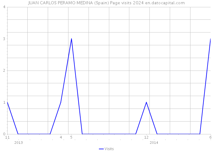 JUAN CARLOS PERAMO MEDINA (Spain) Page visits 2024 