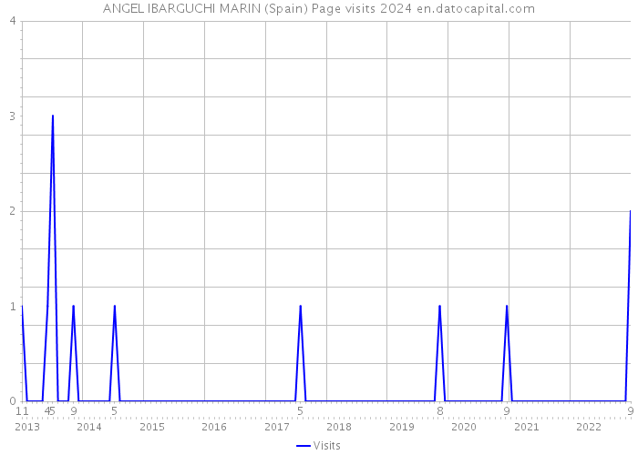 ANGEL IBARGUCHI MARIN (Spain) Page visits 2024 