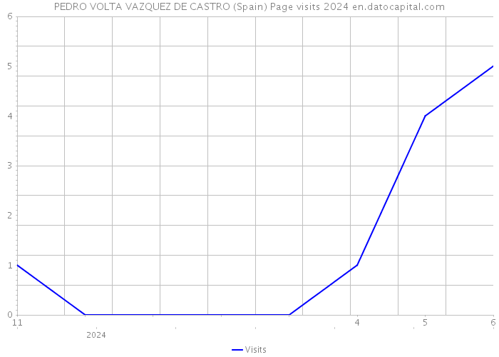 PEDRO VOLTA VAZQUEZ DE CASTRO (Spain) Page visits 2024 