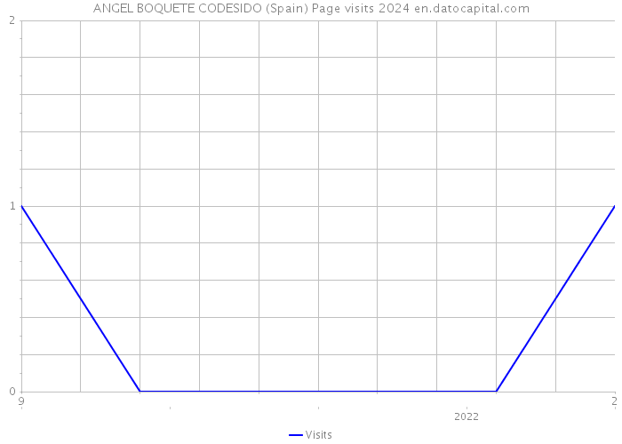 ANGEL BOQUETE CODESIDO (Spain) Page visits 2024 