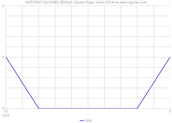 ANTONIO OLIVARES SEVILLA (Spain) Page visits 2024 