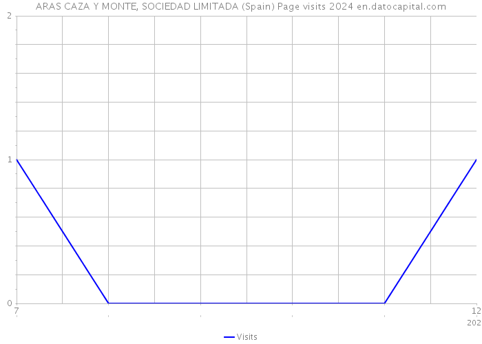 ARAS CAZA Y MONTE, SOCIEDAD LIMITADA (Spain) Page visits 2024 