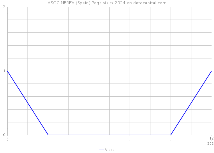 ASOC NEREA (Spain) Page visits 2024 