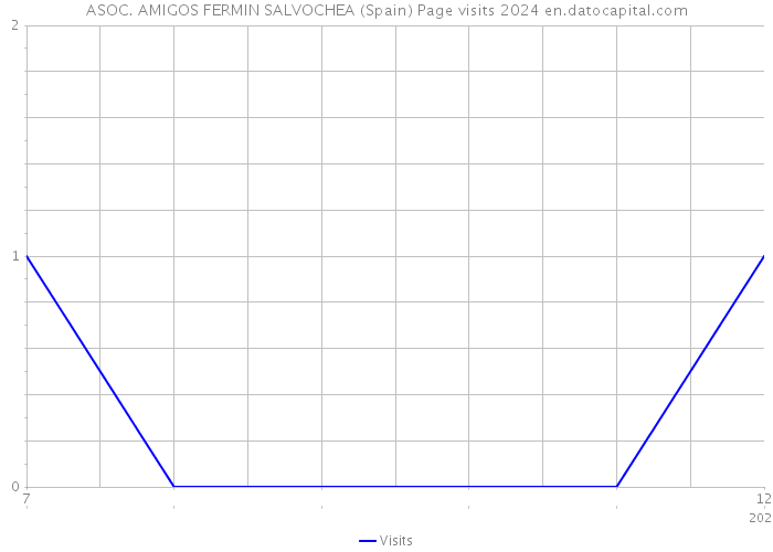 ASOC. AMIGOS FERMIN SALVOCHEA (Spain) Page visits 2024 