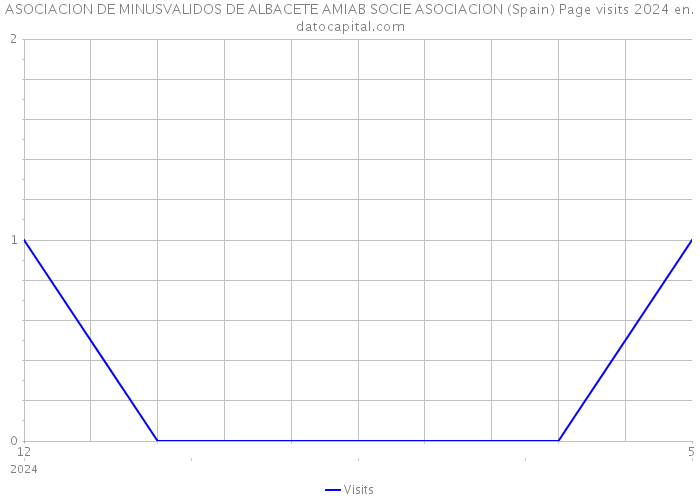 ASOCIACION DE MINUSVALIDOS DE ALBACETE AMIAB SOCIE ASOCIACION (Spain) Page visits 2024 