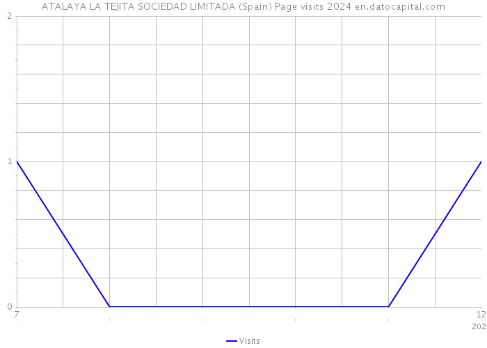 ATALAYA LA TEJITA SOCIEDAD LIMITADA (Spain) Page visits 2024 