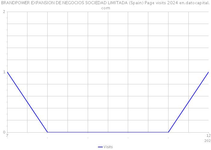 BRANDPOWER EXPANSION DE NEGOCIOS SOCIEDAD LIMITADA (Spain) Page visits 2024 