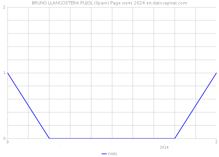 BRUNO LLANGOSTERA PUJOL (Spain) Page visits 2024 
