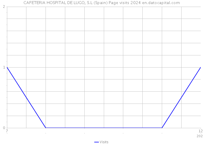 CAFETERIA HOSPITAL DE LUGO, S.L (Spain) Page visits 2024 