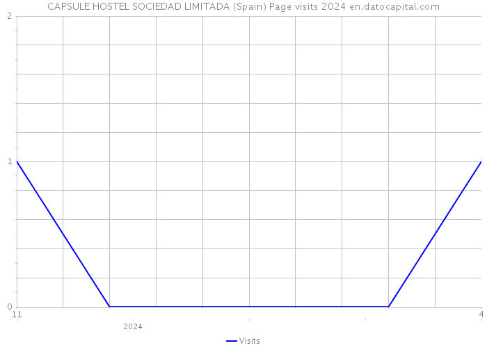 CAPSULE HOSTEL SOCIEDAD LIMITADA (Spain) Page visits 2024 