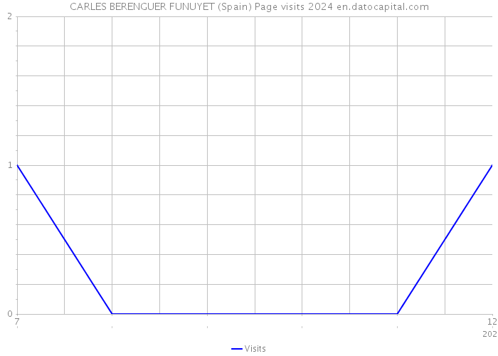 CARLES BERENGUER FUNUYET (Spain) Page visits 2024 