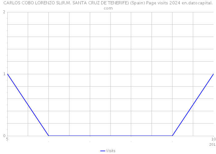 CARLOS COBO LORENZO SL(R.M. SANTA CRUZ DE TENERIFE) (Spain) Page visits 2024 