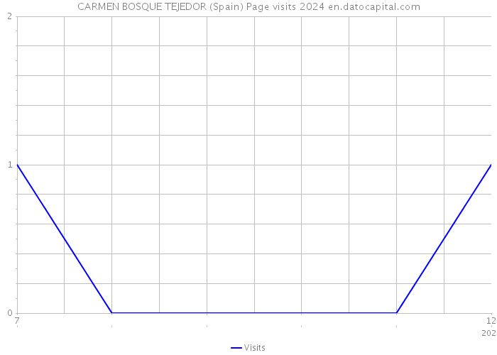 CARMEN BOSQUE TEJEDOR (Spain) Page visits 2024 
