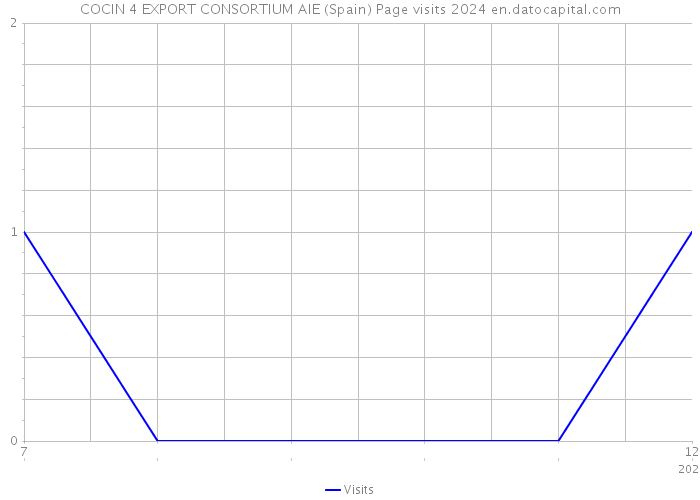 COCIN 4 EXPORT CONSORTIUM AIE (Spain) Page visits 2024 