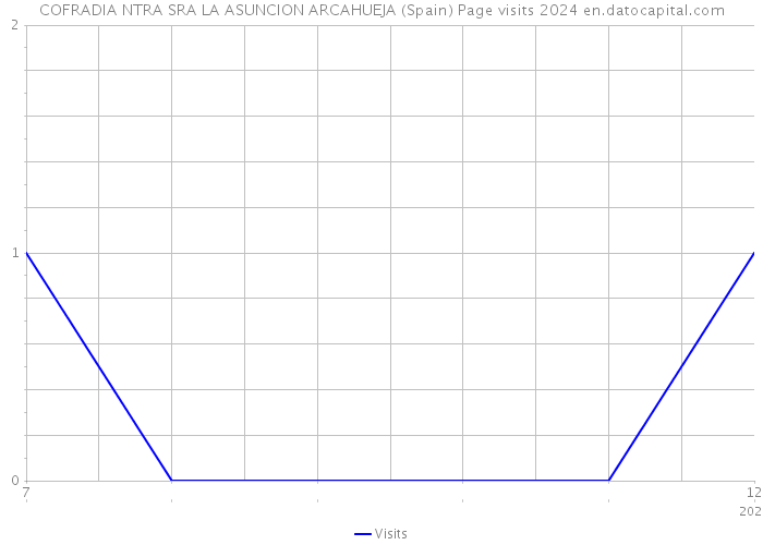 COFRADIA NTRA SRA LA ASUNCION ARCAHUEJA (Spain) Page visits 2024 