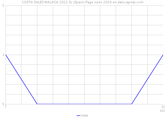 COSTA SALES MALAGA 2022 SL (Spain) Page visits 2024 