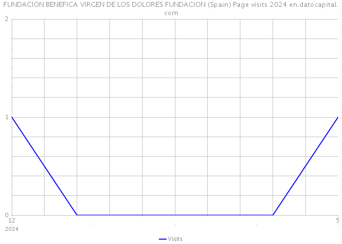 FUNDACION BENEFICA VIRGEN DE LOS DOLORES FUNDACION (Spain) Page visits 2024 