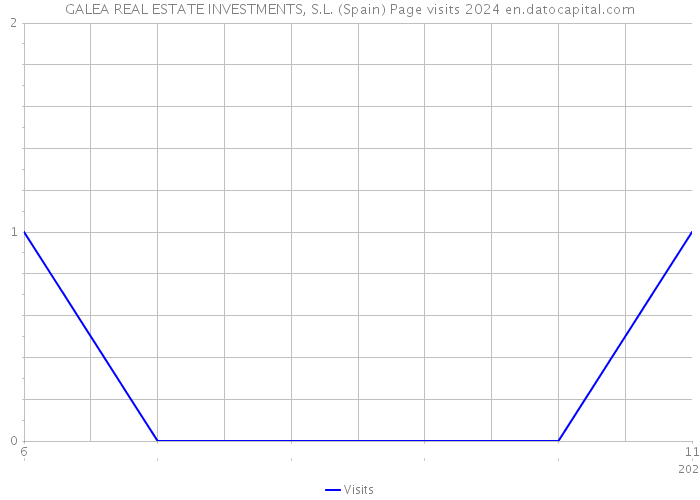 GALEA REAL ESTATE INVESTMENTS, S.L. (Spain) Page visits 2024 