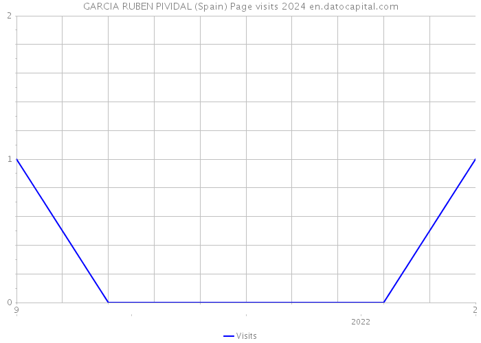 GARCIA RUBEN PIVIDAL (Spain) Page visits 2024 