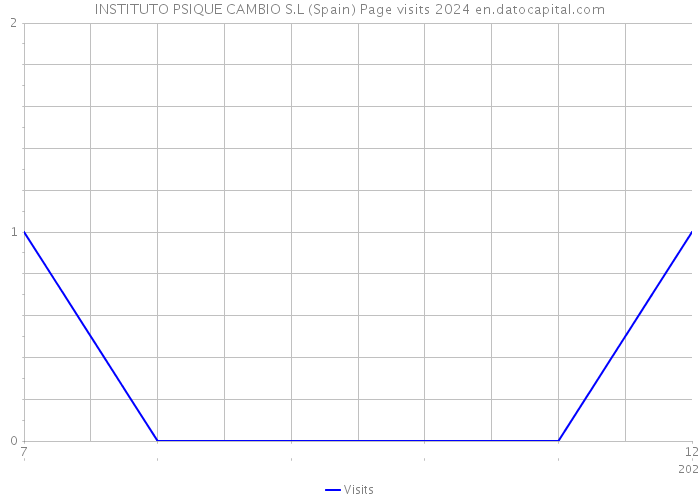 INSTITUTO PSIQUE CAMBIO S.L (Spain) Page visits 2024 