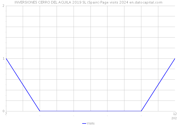 INVERSIONES CERRO DEL AGUILA 2019 SL (Spain) Page visits 2024 