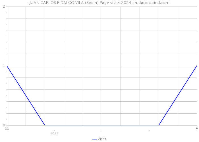 JUAN CARLOS FIDALGO VILA (Spain) Page visits 2024 