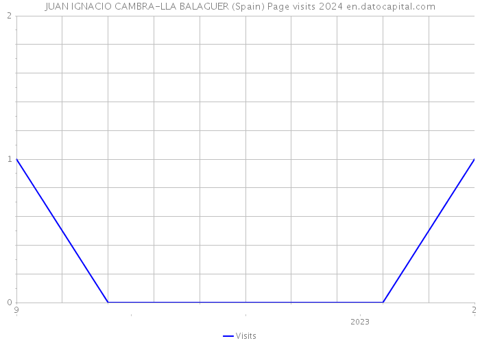 JUAN IGNACIO CAMBRA-LLA BALAGUER (Spain) Page visits 2024 