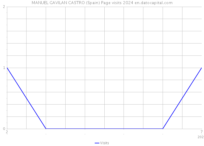 MANUEL GAVILAN CASTRO (Spain) Page visits 2024 