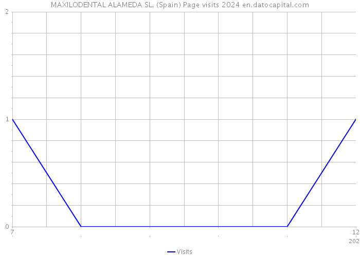 MAXILODENTAL ALAMEDA SL. (Spain) Page visits 2024 