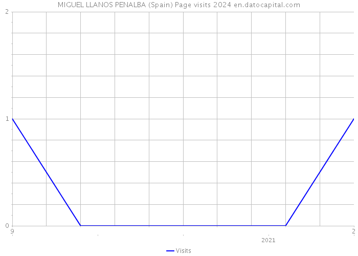 MIGUEL LLANOS PENALBA (Spain) Page visits 2024 
