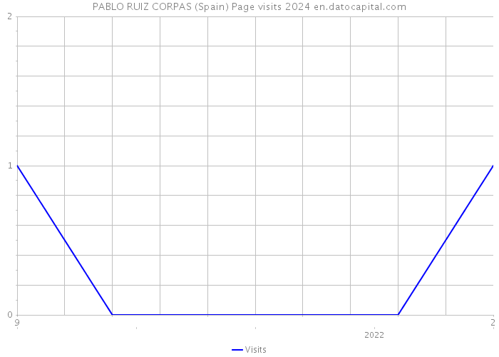 PABLO RUIZ CORPAS (Spain) Page visits 2024 