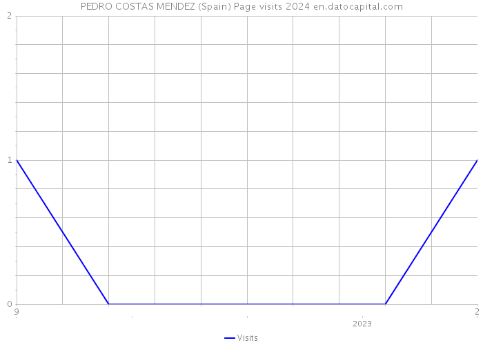 PEDRO COSTAS MENDEZ (Spain) Page visits 2024 