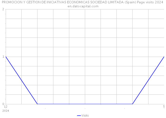 PROMOCION Y GESTION DE INICIATIVAS ECONOMICAS SOCIEDAD LIMITADA (Spain) Page visits 2024 