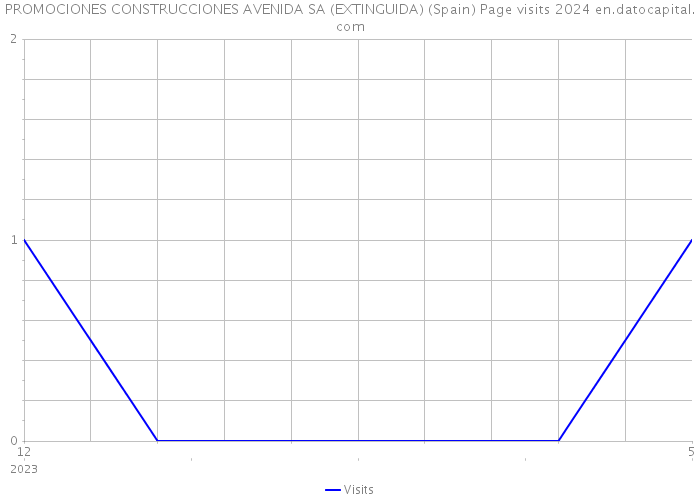 PROMOCIONES CONSTRUCCIONES AVENIDA SA (EXTINGUIDA) (Spain) Page visits 2024 