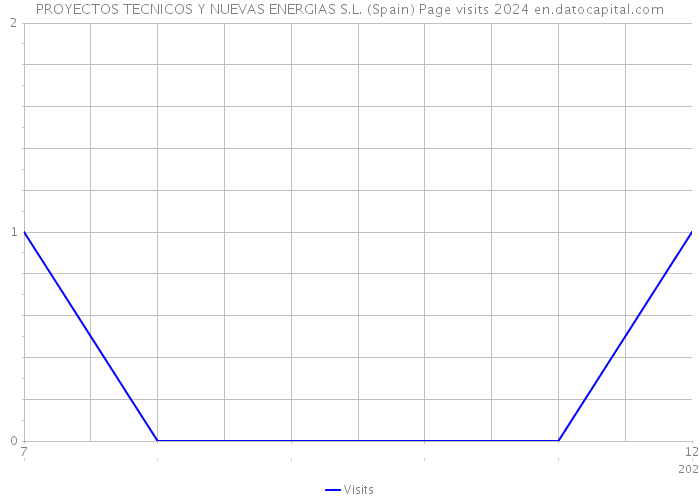 PROYECTOS TECNICOS Y NUEVAS ENERGIAS S.L. (Spain) Page visits 2024 