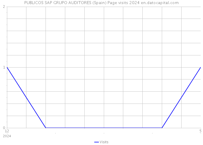 PUBLICOS SAP GRUPO AUDITORES (Spain) Page visits 2024 