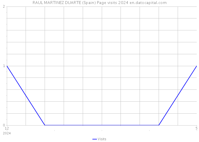 RAUL MARTINEZ DUARTE (Spain) Page visits 2024 