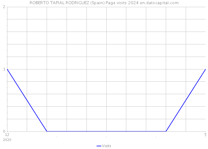 ROBERTO TAPIAL RODRIGUEZ (Spain) Page visits 2024 