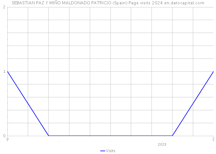 SEBASTIAN PAZ Y MIÑO MALDONADO PATRICIO (Spain) Page visits 2024 
